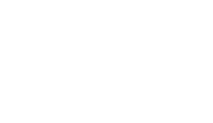 MWI Pumps